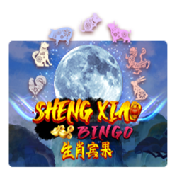 สูตรสล็อตเกม Sheng Xiao Bingo