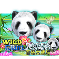 สูตรสล็อตเกม Wild Giant Panda